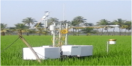 agriculture_flux_towers