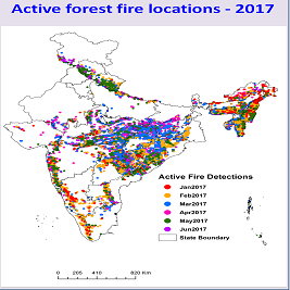Forest Fire Alerts