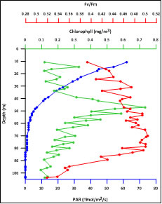 Parameters