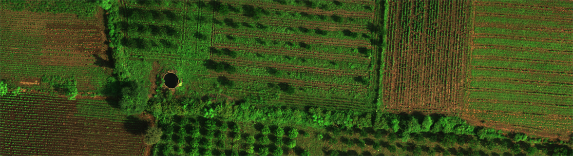 UAV Multispectral Orthoimage,Part of Morshi, Amravati District,Maharashtra acquired on 30-09-2022